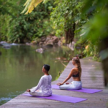 Adiwana Svarga Loka - A Retreat Resort Ubud Exteriér fotografie