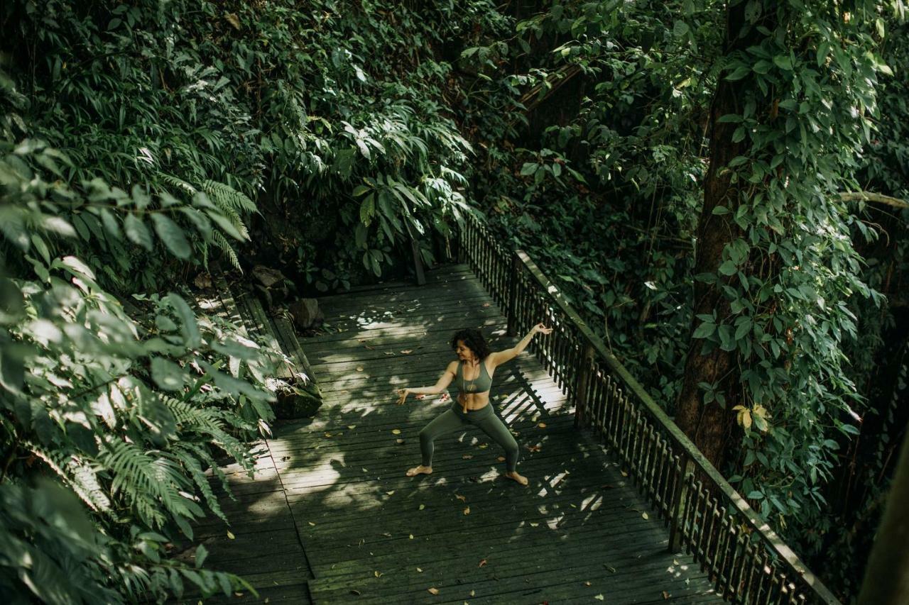 Adiwana Svarga Loka - A Retreat Resort Ubud Exteriér fotografie